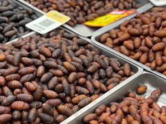 -大连熟食品交易中心