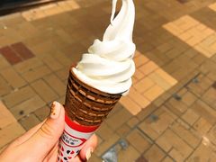-富豪雪糕车流动点(尖沙咀店)