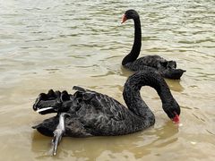 -琅岐红光湖公园