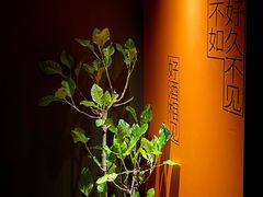 -LAMP BAR 水烟音乐酒吧