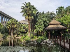 -昆明洲际酒店