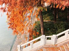 -运河游船(武林门码头)