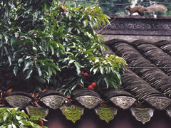 -三苏祠
