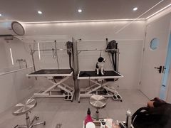 -comecome来吧宠物(奥克斯中心店)