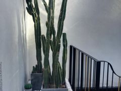 景观位-大树餐厅(红旗街万达店)