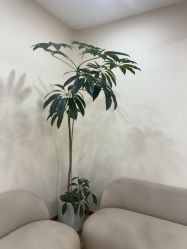 -HEYAN荷妍专业脱毛连锁机构