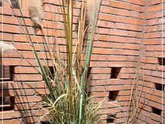 -园里火锅(仁和新城店)