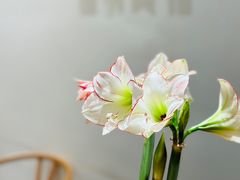 -左悦·艾灸调理·推拿按摩·精油SPA(卓悦汇店)