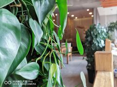 -YAFEE雅菲·粤菜·湘菜·融合菜(魏公村店)