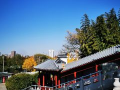 -楚望台遗址公园