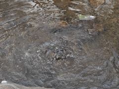 -水磨沟公园