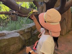 -西霞口神雕山野生动物世界