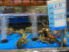 -张家卫·阳江菜·小海鲜(肥婆湾桥店)