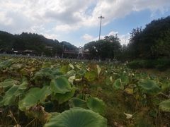 -红山村