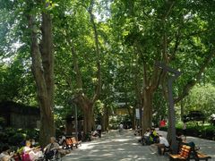 -静安公园(静安寺街道)