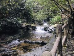 -天门沟九州驿站树上汤泉