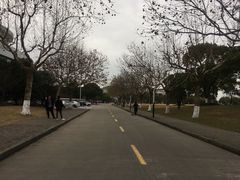 -上海第二工业大学(金海路校区)