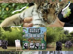 -五龙山野生动物王国