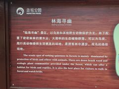 -大兴滨河森林公园