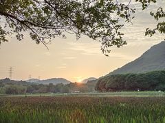 -八卦田遗址公园