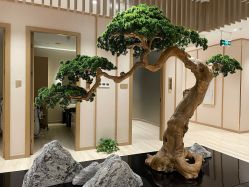 -HQ半永久纹绣纹眉