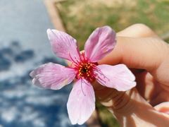 -福建鲤鱼洲酒店