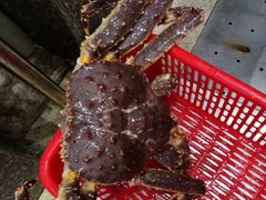 -蚝专家(北滘店)