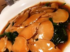 -詠春园