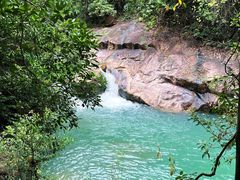 -广州白江湖森林公园