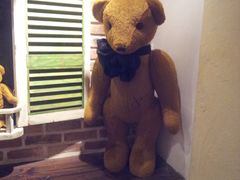 -济州岛泰迪熊博物馆