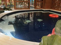 -鸿泰洋美食水会(东门中店)