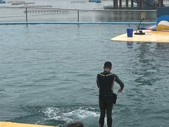 -秦皇岛乐岛海洋王国