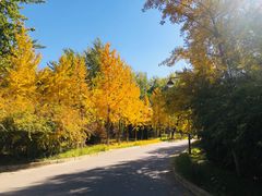 -中家鑫园温泉酒店鑫悦汤泉