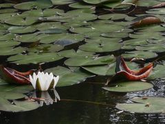 -宁波九龙湖开元度假村