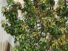 -兴芮温泉度假区