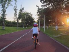 -白鹭湾湿地公园