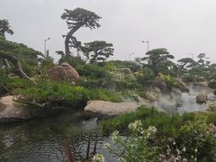 -罗红摄影艺术馆