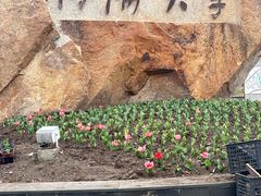 -同济大学(嘉定校区)