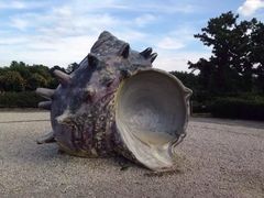 -柱状节理带