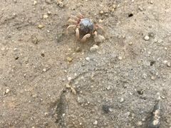 -北海金海湾红树林生态旅游区