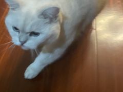 -沪依小酒馆心意菜