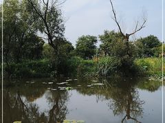 -西溪国家湿地公园