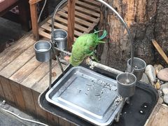 -丽江庭院之丽江往事(安定门店)