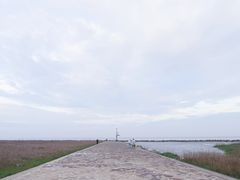 -南汇嘴观海公园