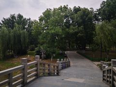 -堤角公园