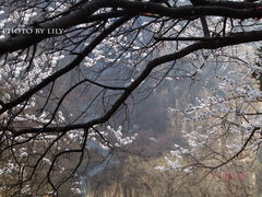 -藏山旅游风景区