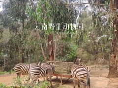 -云南野生动物园