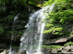 -黎坪国家森林公园
