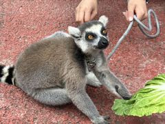 -水上乐园·欢乐世界