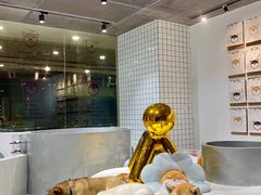 -柴务处·柴犬主题狗咖